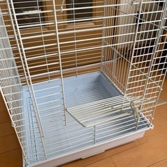 鳥かご　カメレオン　飼育　の画像