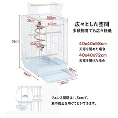 鳥かご　カメレオン　飼育　の画像