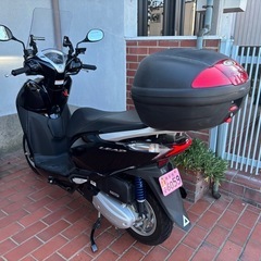 美車！
HONDA リード125の画像