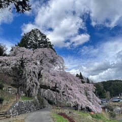 スマホで簡単にプロレベルの写真が 撮れる方法を知りたくあり…