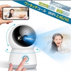 ワイヤレス防犯カメラ（見守りカメラ）の画像
