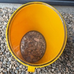水中スコープの画像