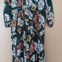 レディース3Lの画像