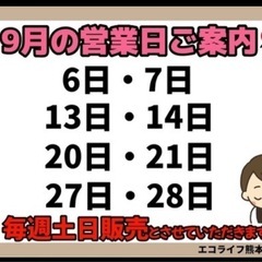 週末のみ営業中‼️オットマン付き1人掛けソファの画像
