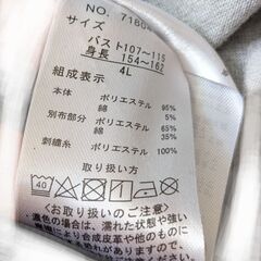 レディース4Lの画像