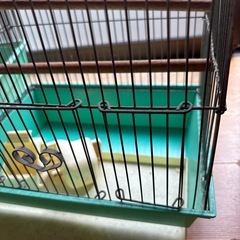 鳥かご2個セットの画像