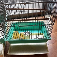 鳥かご2個セットの画像