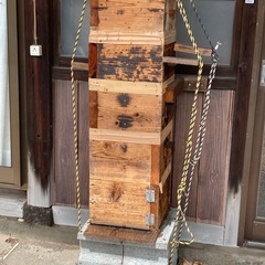 ニホンミツバチ巣ごと丸ごと！の画像