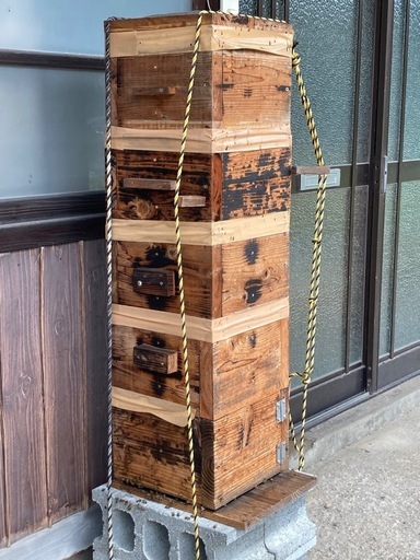 ニホンミツバチ巣ごと丸ごと！