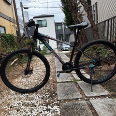 TOTEM ディスク マウンテンバイクの画像