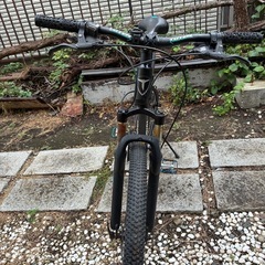 TOTEM ディスク マウンテンバイクの画像