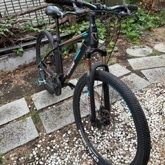 TOTEM ディスク マウンテンバイクの画像