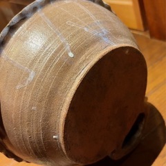 メダカ鉢　カッパの見守りの画像