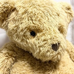 【無料】テディベア くまさん ぬいぐるみの画像
