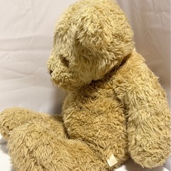 【無料】テディベア くまさん ぬいぐるみの画像