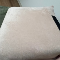 大きめ　座椅子　ベージュの画像