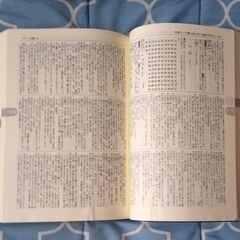 外箱付き・漢和辞典【新字源】角川書店・USED(中古)の画像