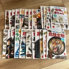 ハッピーセット おもちゃ セットの画像
