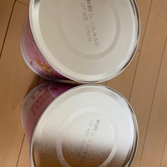 メグミルク　たっちの画像