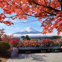 本日こちらは締め切りますのでご検討いただいてる方はメッセージ下さ...