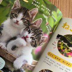 絵本2冊①の画像