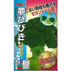ブロッコリー苗★家庭菜園★美味しく育てようの画像