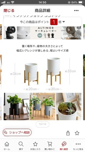 ①観葉植物　フィカス ルビー