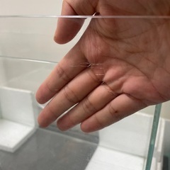 ada 75cm 水槽の画像
