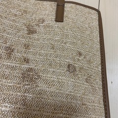 ZARA  le VERNIS MOHI 夏バッグの画像