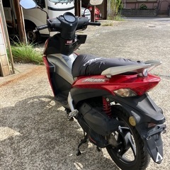 エンジン始動動画あり　堺市堺区　ホンダタラニス110の画像