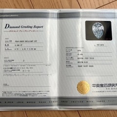 PT900ダイヤモンドクリップリングの画像