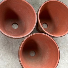 素焼植木鉢9号×1鉢の画像