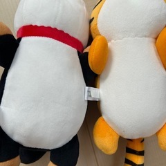 動物園　ぬいぐるみくじ　の画像