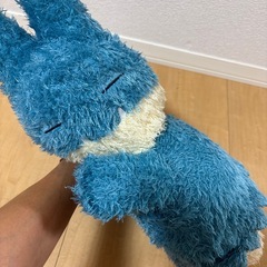 ポケモンぬいぐるみの画像