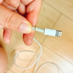 USB-C - Lightningケーブル(1m)、アダプタ付きの画像