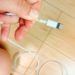 USB-C - Lightningケーブル(1m)、アダプタ付きの画像