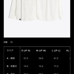 ZARA ストライプシャツの画像