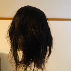 カットウィッグの画像