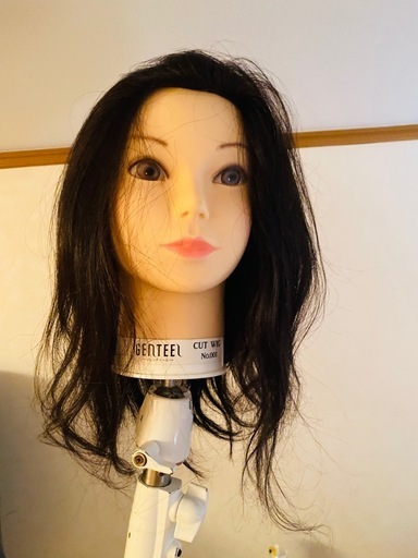 カットウィッグ