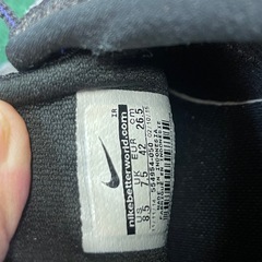 Nike ナイキ レボリューション2 MSL 554954-050 ランニングシューズ タグ付き D-4479  スニーカーの画像