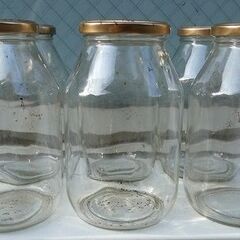 【 菌糸瓶 】 ガラス瓶 6本セット 空 ボトル 菌糸ボトル の画像