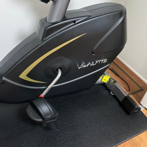 アルインコ(ALINCO) プログラムバイク AFB7018 USB電源付き