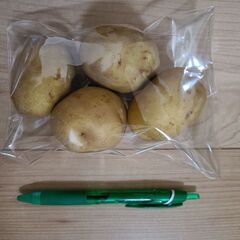 野菜いかがでしょうか？の画像