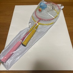 家族で楽しめるバドミントンセットの画像