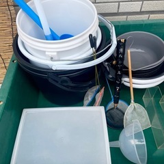 プラ舟　トロ舟　メダカ 容器 タモ　横見ケース　餌　まとめ売り　予約可能の画像