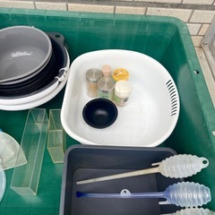 プラ舟　トロ舟　メダカ 容器 タモ　横見ケース　餌　まとめ売り　予約可能の画像