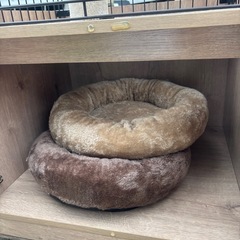 【中古品】キャットタワーの画像