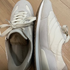 スパットシューズの画像