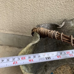 鉢　メダカ用にいかがでしょうかの画像