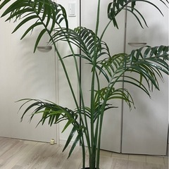 決まりました《9/15-9/20引取限定》フェイクグリーン　観葉植物　IKEA リビングの画像